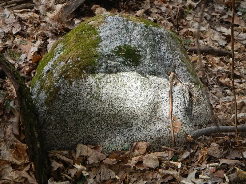 Granitic glacial erratic, Porcupine Mountains Wilderness State Park