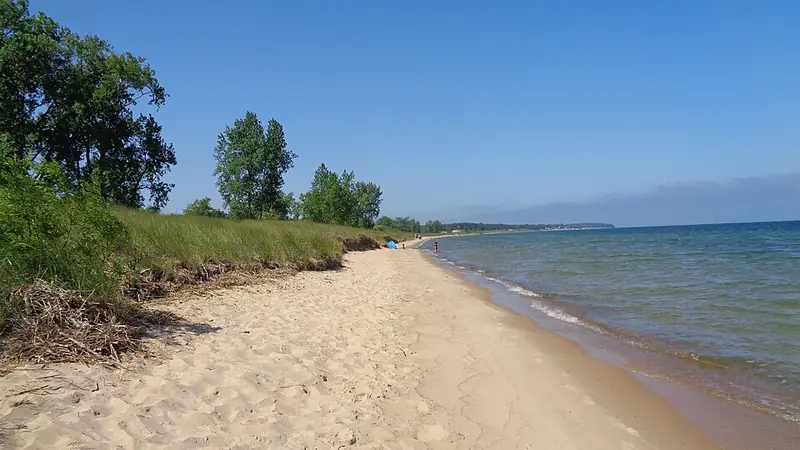 Sandy beach and trees along the lakeshore