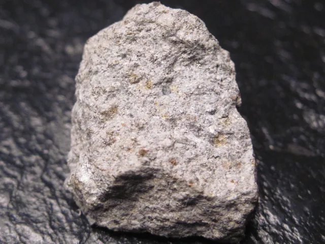 Allegan meteorite fragment (2.9 g). The Allegan meteorite fell in Allegan County, Michigan, in 1899