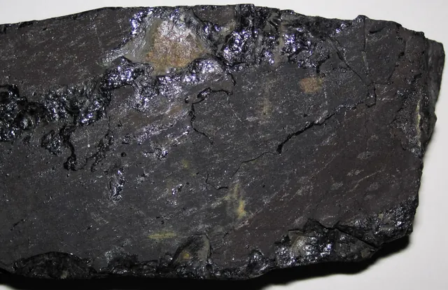 Bituminous coal, Upper Freeport Coal, Linton, Ohio (not a Michigan specimen)