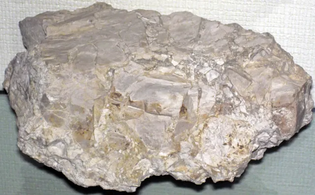 Dolostone breccia, Mackinac Breccia, near St. Ignace (museum display at Wittenberg University)