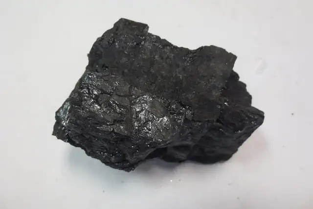 Bituminous coal close-up (locality not given)