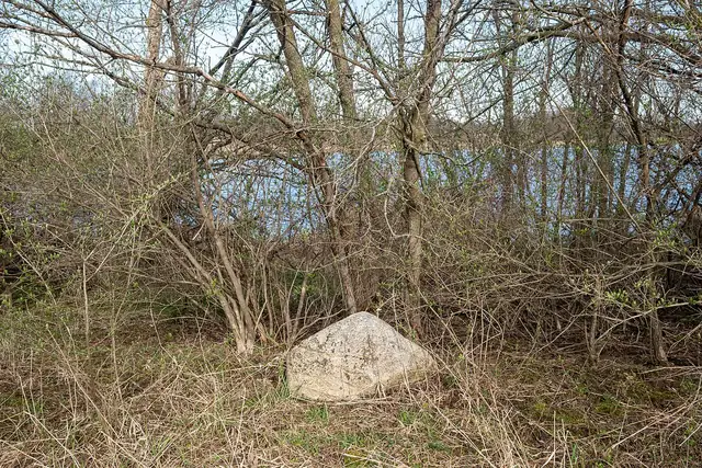 Glacial erratic boulder, Bunker Nature Preserve, Aurelius Township, Ingham County