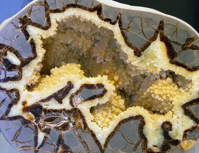 Cut septarian nodule, San Juan County, Utah, museum display (not a Michigan specimen)