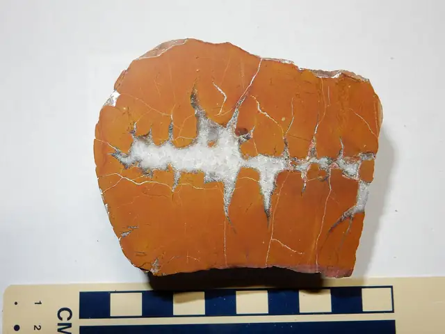 Septarian nodule, Nacimiento Mine, New Mexico (not a Michigan specimen)