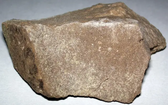 Charlevoix Limestone, Sunset Park, Petoskey