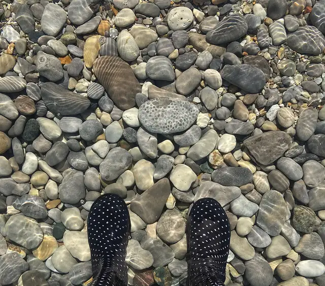 Wet stones, including Petoskey stones, Good Harbor Bay