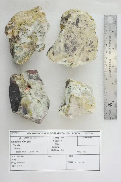 Native copper in prehnite, Franklin Mine, museum display