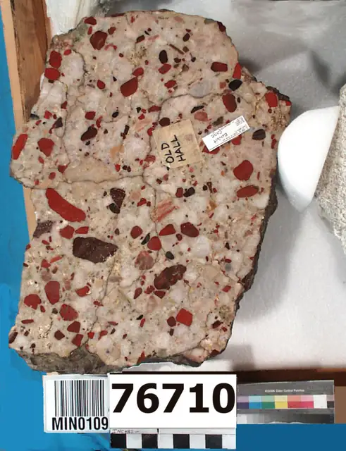 Conglomerate with red jasper pebbles from Michigan, Smithsonian specimen
