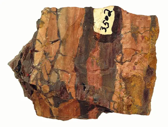 Cherty ironstone, Ironwood Formation, Upper Peninsula
